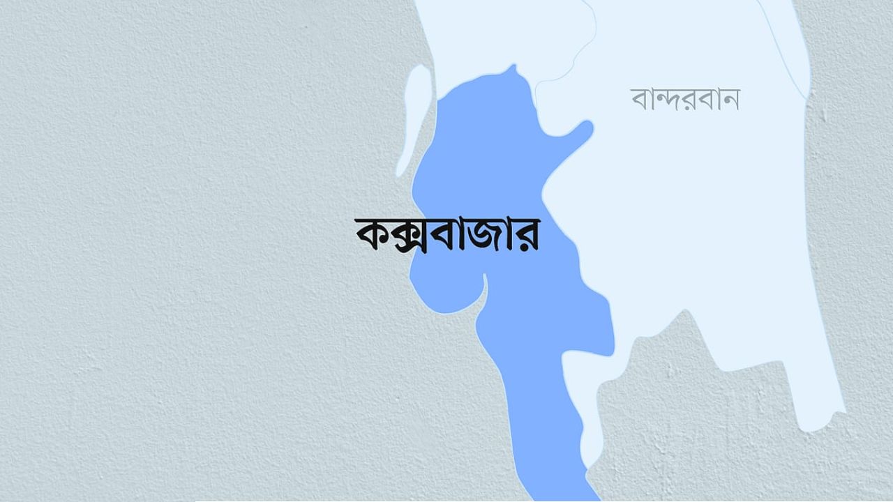চা বানাতে গিয়ে দেখেন, রান্নাঘরে ফোঁস ফোঁস করছে ‘কিং কোবরা’