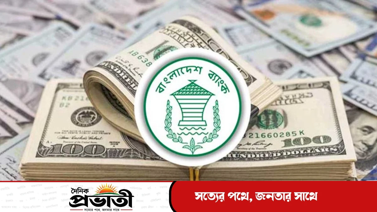 অক্টোবরের ২৮ দিনে রেমিট্যান্স এলো ২৬৫ কোটি ডলার